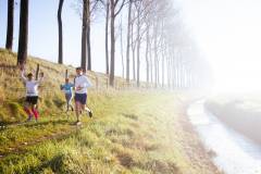 20221113-HavenlandRunWalk-1600x900-MatsPalinckx-23