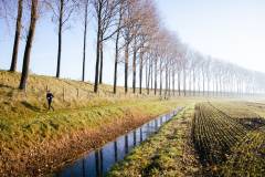 20221113-HavenlandRunWalk-1600x900-MatsPalinckx-26