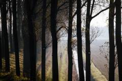 20221113-HavenlandRunWalk-1600x900-MatsPalinckx-33