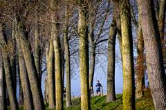 Havenwereld run & walk 2025, photo by Tomas Sisk / Golazo