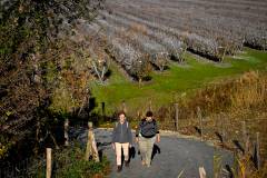 Havenwereld run & walk 2025, photo by Tomas Sisk / Golazo